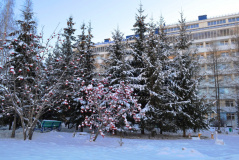 Новогодние каникулы с пользой для своего здоровья! Новогодние каникулы с пользой для своего здоровья!